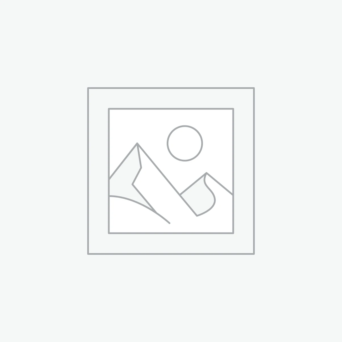 Charger & Charging Module